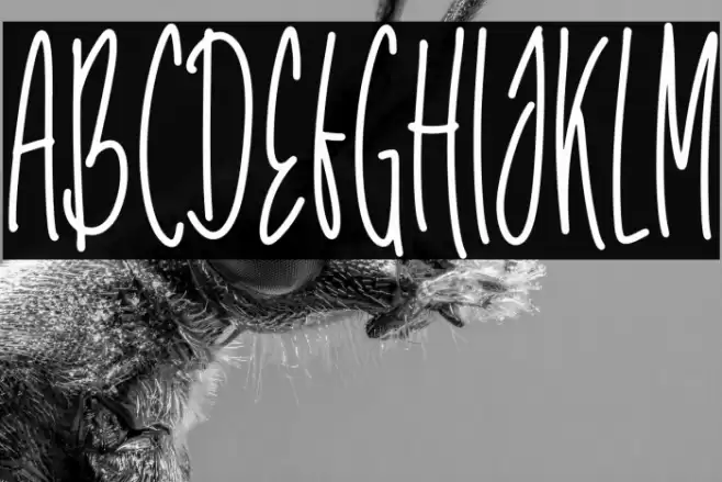 Unicorn Tall Polices examples