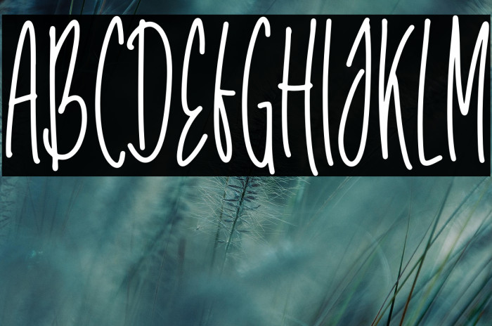 Unicorn Tall Example 3