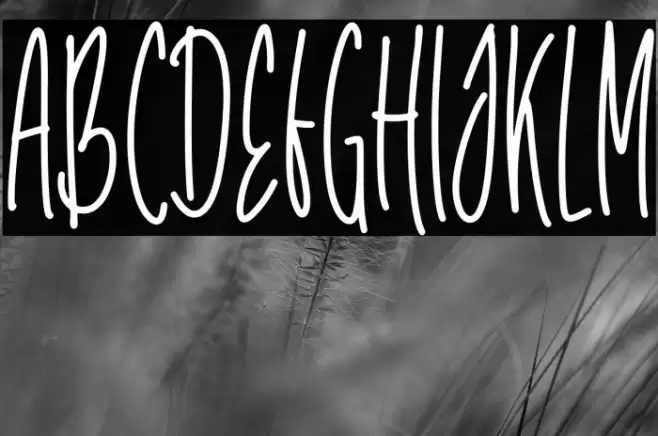 Unicorn Tall Polices examples