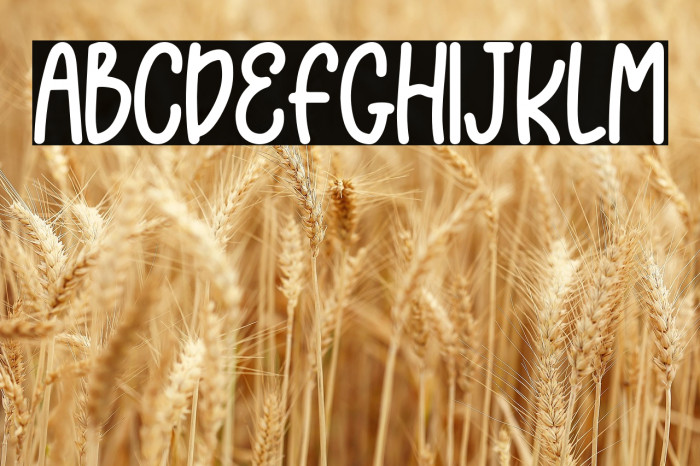 Unicorn Toys Example 2