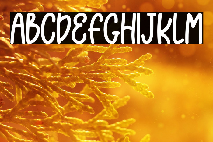 Unicorn Toys Example 3