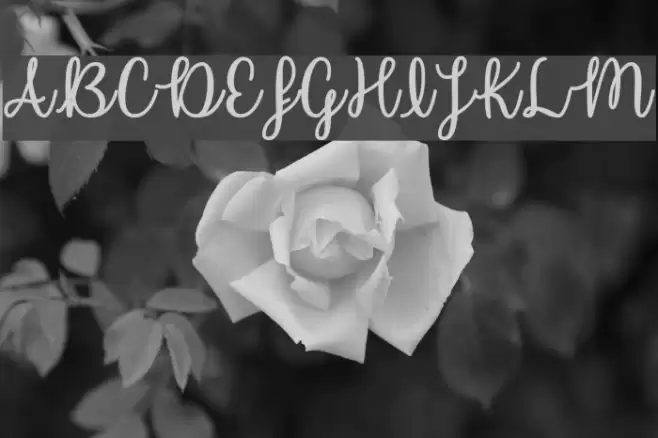 UnicornCalligraphy Font examples