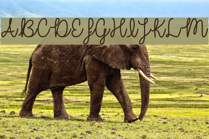 UnicornSparkles Font examples