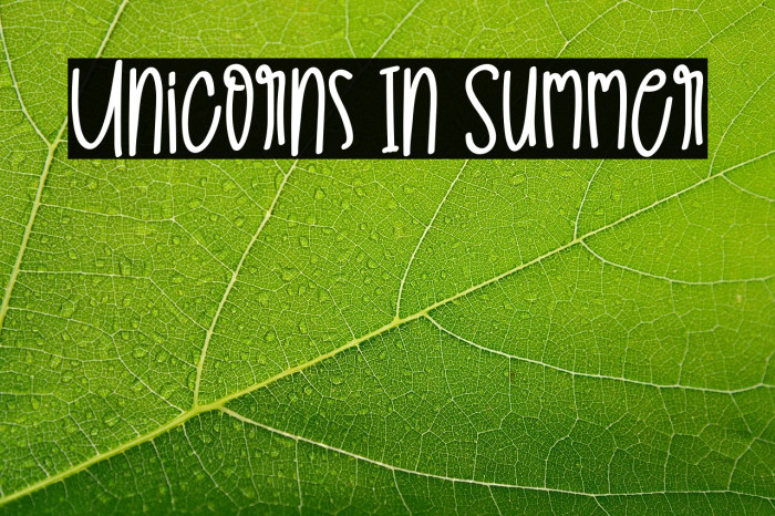 Unicorns In Summer Example 3
