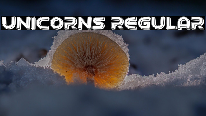 Unicorns Regular Example 3