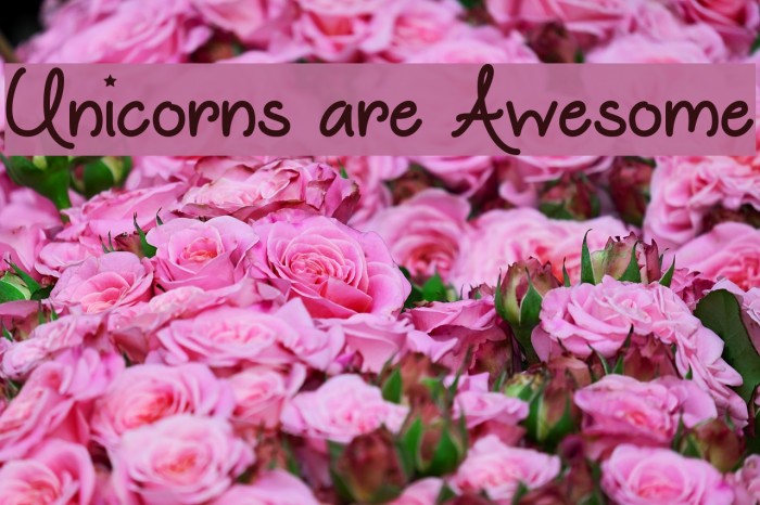 Unicorns are Awesome Font examples