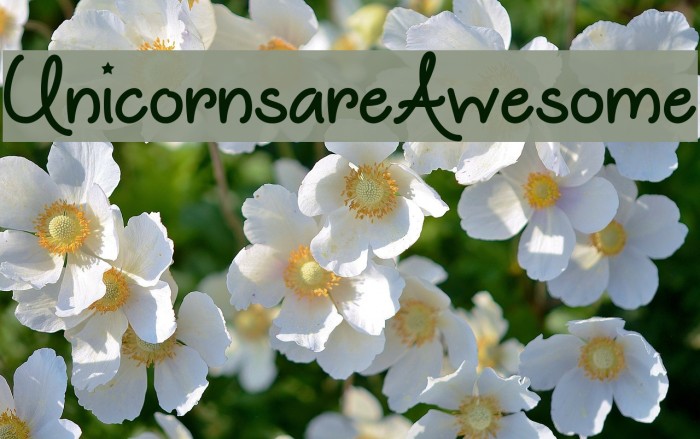 UnicornsareAwesome Font examples