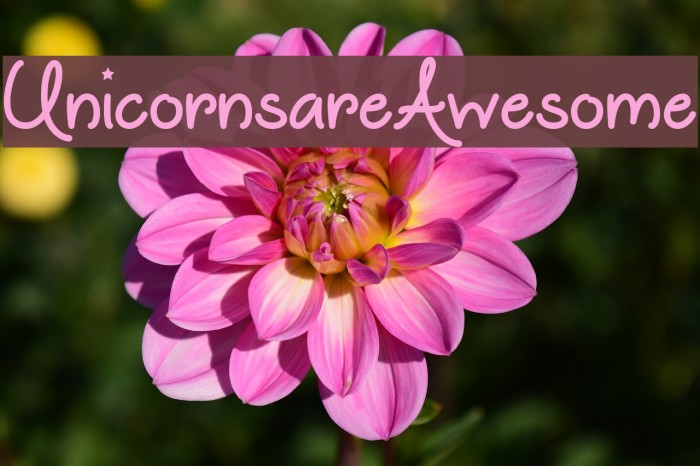 UnicornsareAwesome Font examples