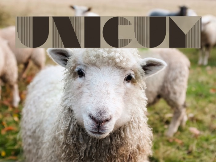 Unicum Font examples