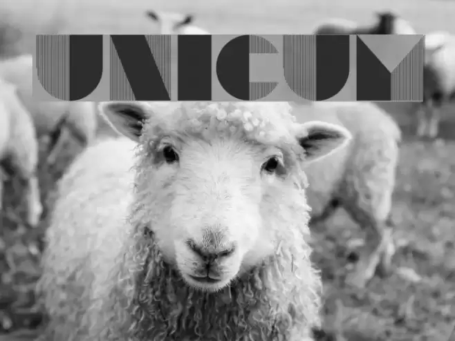 Unicum Font examples