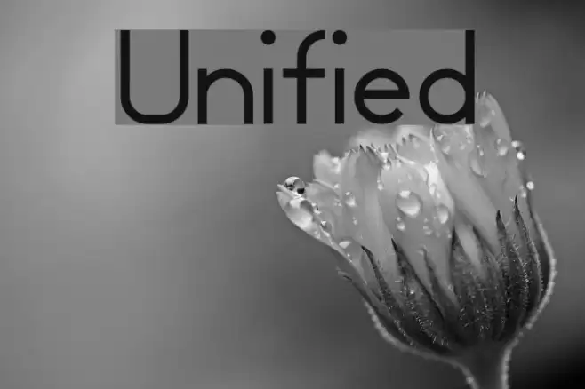 Unified Font examples