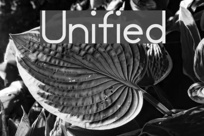 Unified Font examples