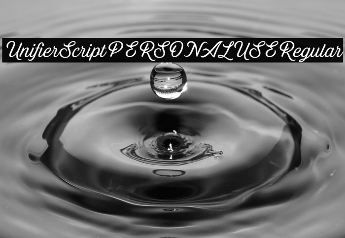 Unifier Script PERSONAL USE Regular Example 1