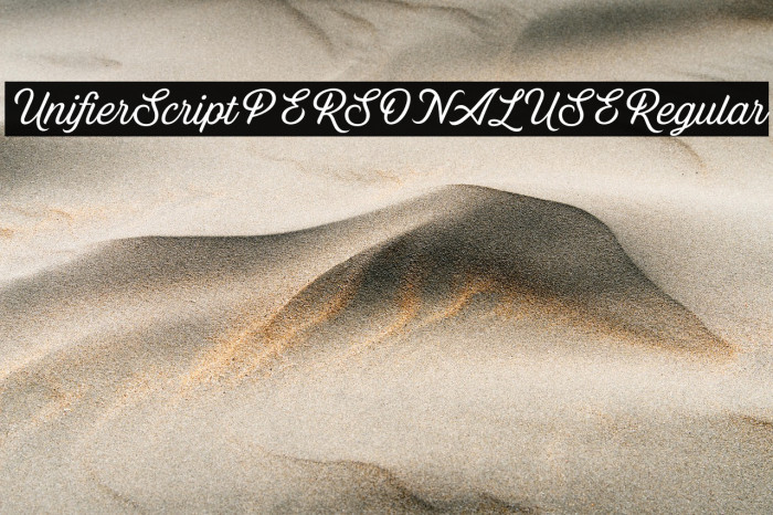 Unifier Script PERSONAL USE Regular Example 3