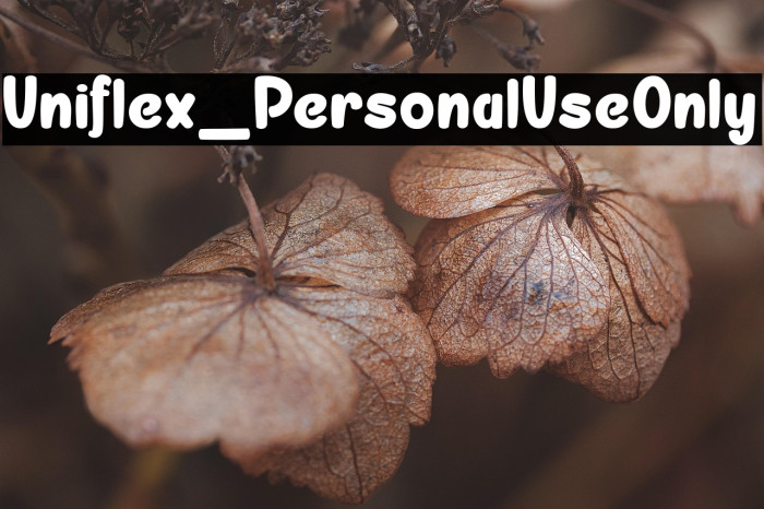 Uniflex_PersonalUseOnly Example 2