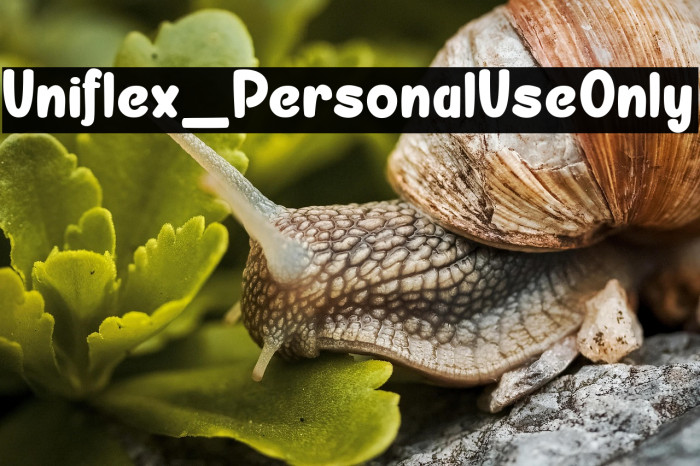 Uniflex_PersonalUseOnly Example 3