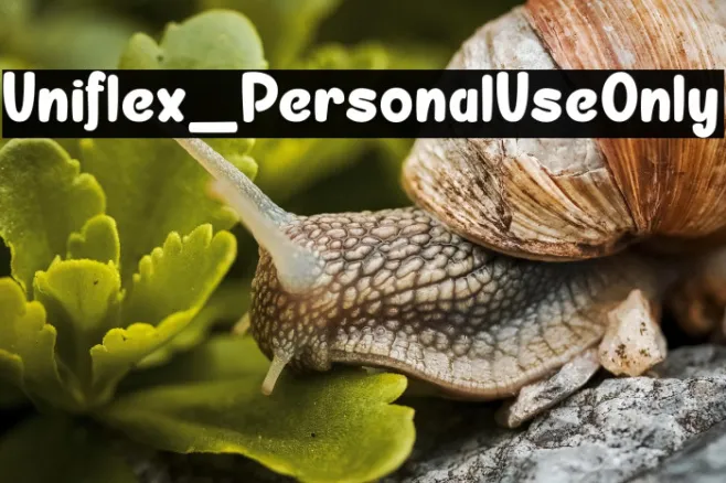 Uniflex_PersonalUseOnly Example 3
