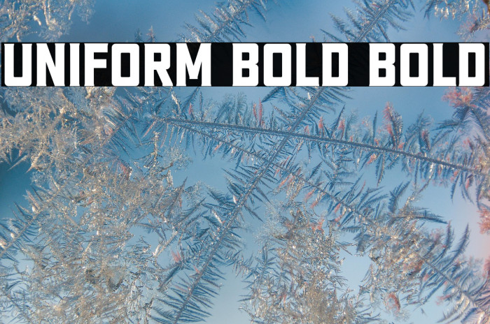 Uniform Bold Bold Example 1