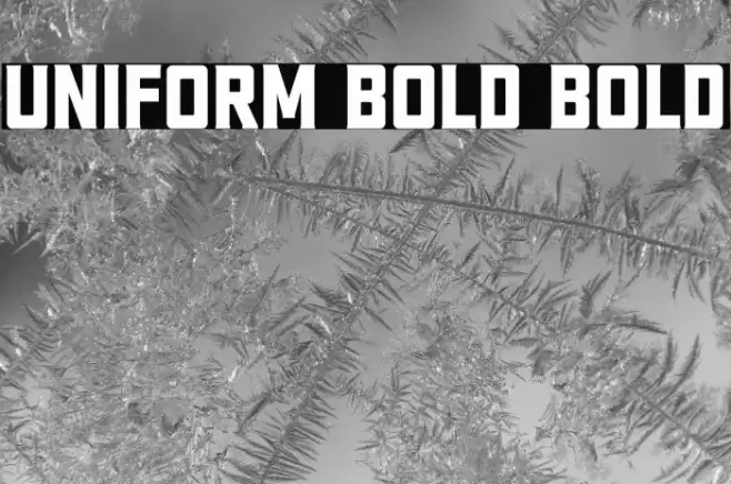 Uniform Bold Bold Font examples