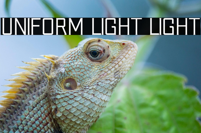 Uniform Light Light Example 2