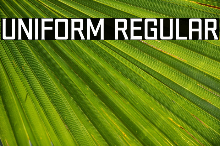 Uniform Regular Example 2