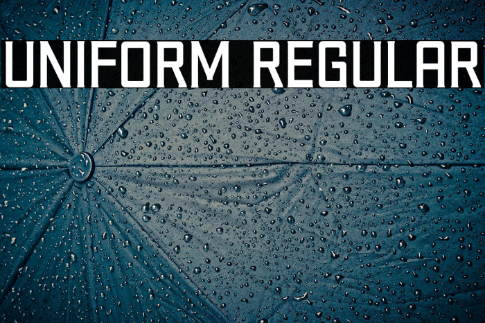 Uniform Regular Example 3