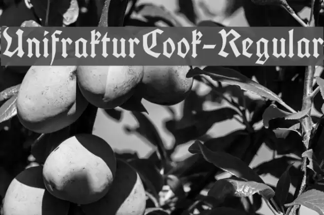 UnifrakturCook-Regular Font examples