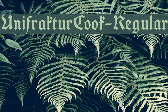 UnifrakturCook-Regular Font examples