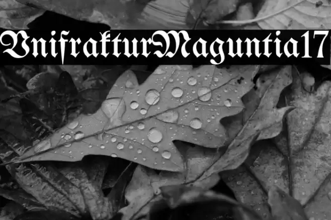 UnifrakturMaguntia17 Font examples