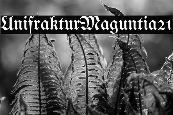 UnifrakturMaguntia21 Font examples