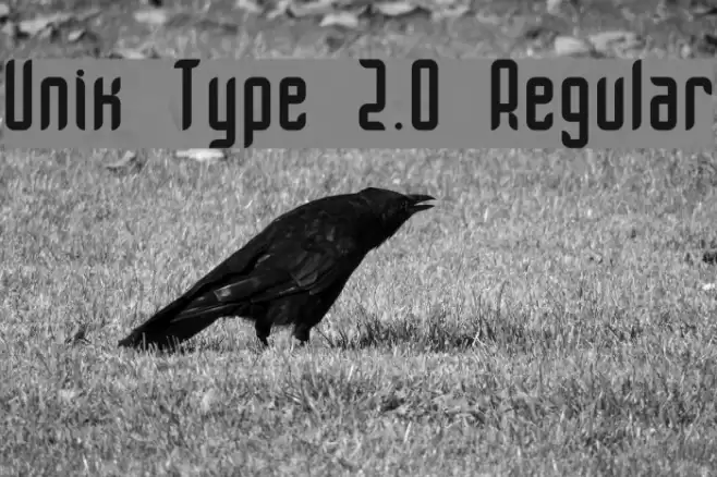 Unik Type 2.0 Regular Font examples