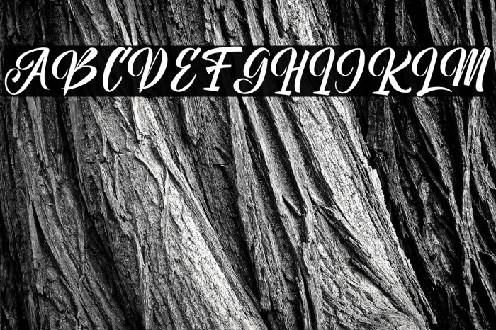 Unimate Script Example 1