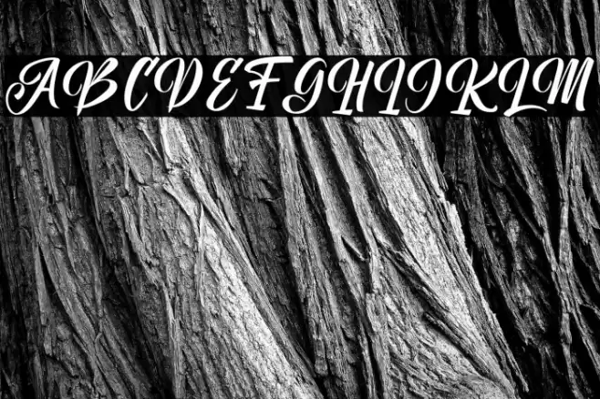 Unimate Script Font examples