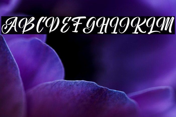 Unimate Script Example 3