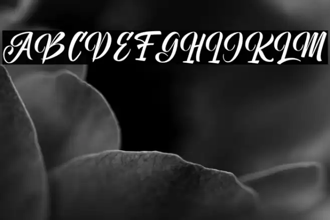 Unimate Script Font examples