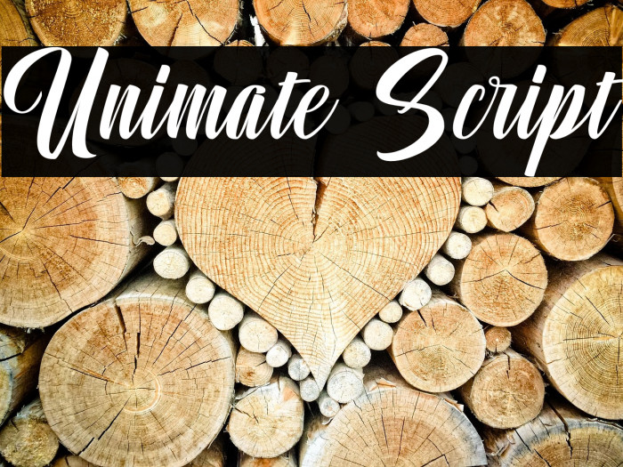 Unimate Script Example 1