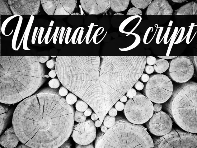 Unimate Script Font examples
