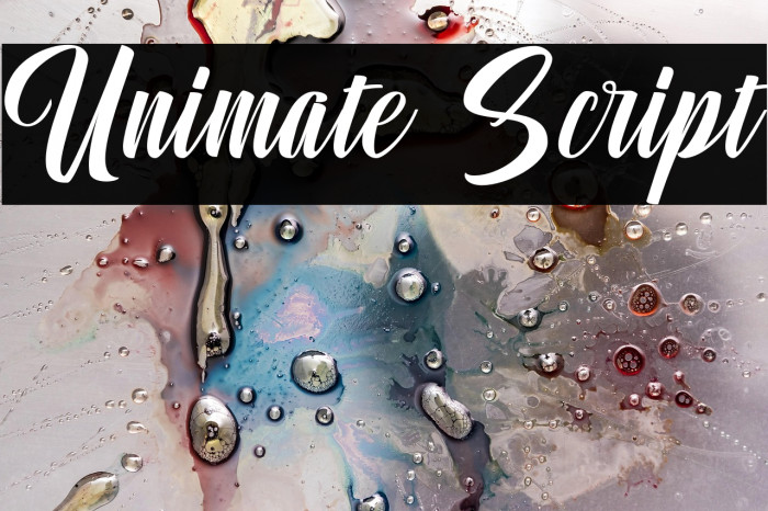 Unimate Script Example 2