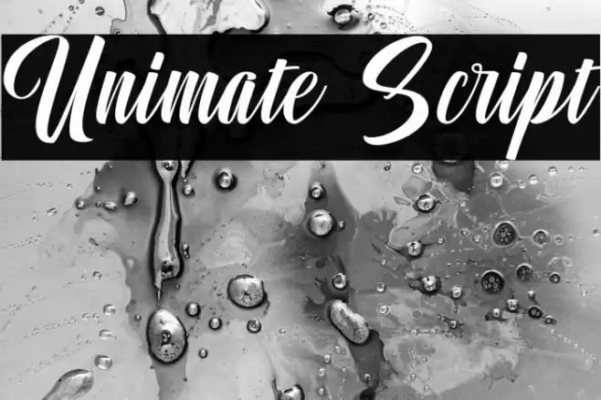 Unimate Script Font examples