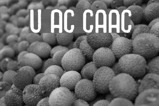 Union Agrochem Charkrapetch Font examples