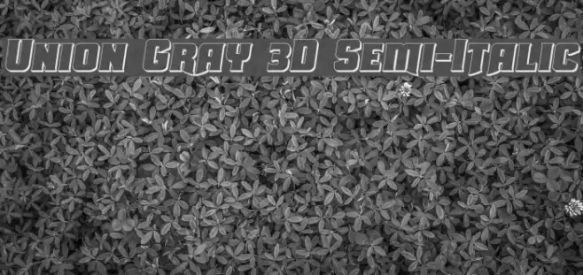 Union Gray 3D Semi-Italic Font examples