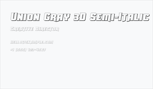 Union Gray 3D Semi-Italic Business Card