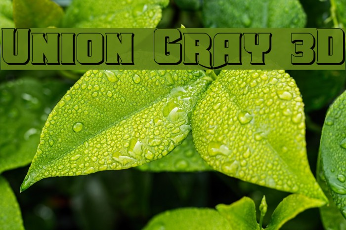 Union Gray 3D Font examples