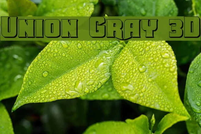 Union Gray 3D Example 1