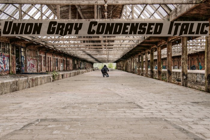 Union Gray Condensed Italic Font examples