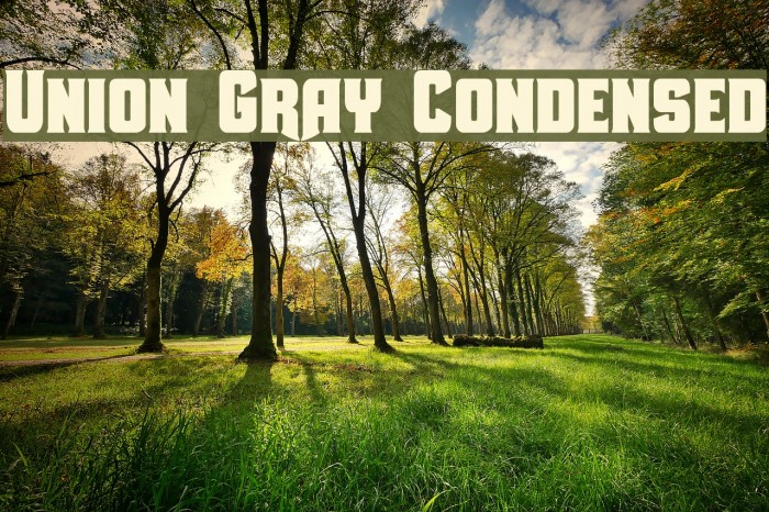 Union Gray Condensed Font examples