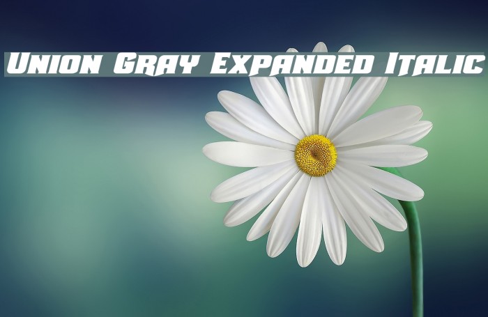 Union Gray Expanded Italic Font examples