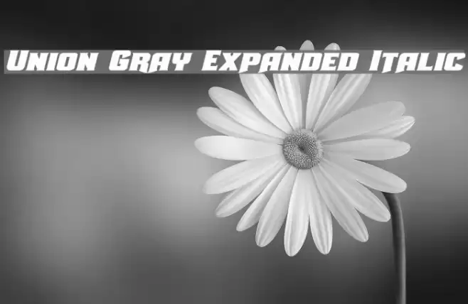 Union Gray Expanded Italic Font examples