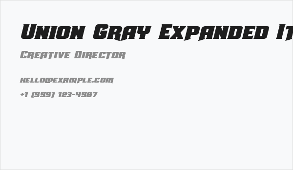Union Gray Expanded Italic Business Card