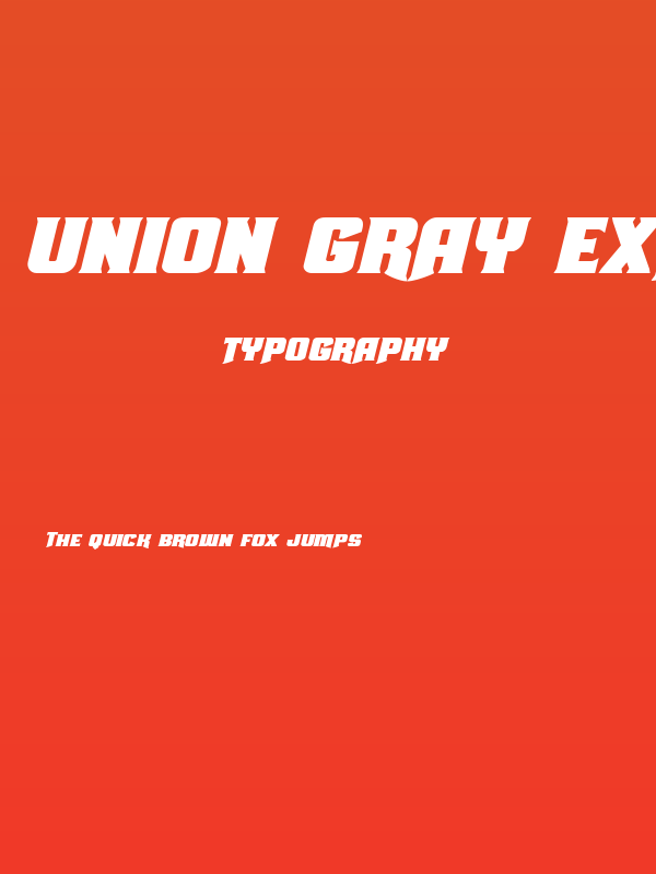 Union Gray Expanded Italic Poster